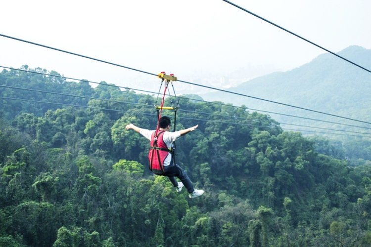 城市空中滑索,体验刺激的高空飞跃的简单介绍 城市空中滑索,体验刺激的高空飞跃的简单介绍