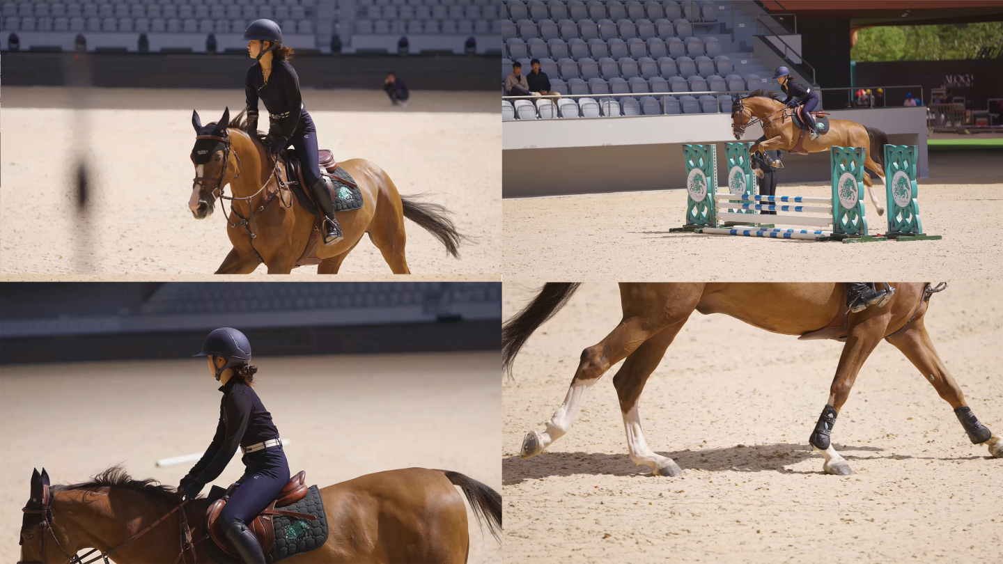 马术障碍赛,优雅骑手的速度较量 马术障碍赛,优雅骑手的速度较量