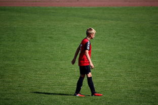 KAIYUN 中国大陆-未来足球场馆将融合智能照明和环境监测系统，绿色科技引领行业